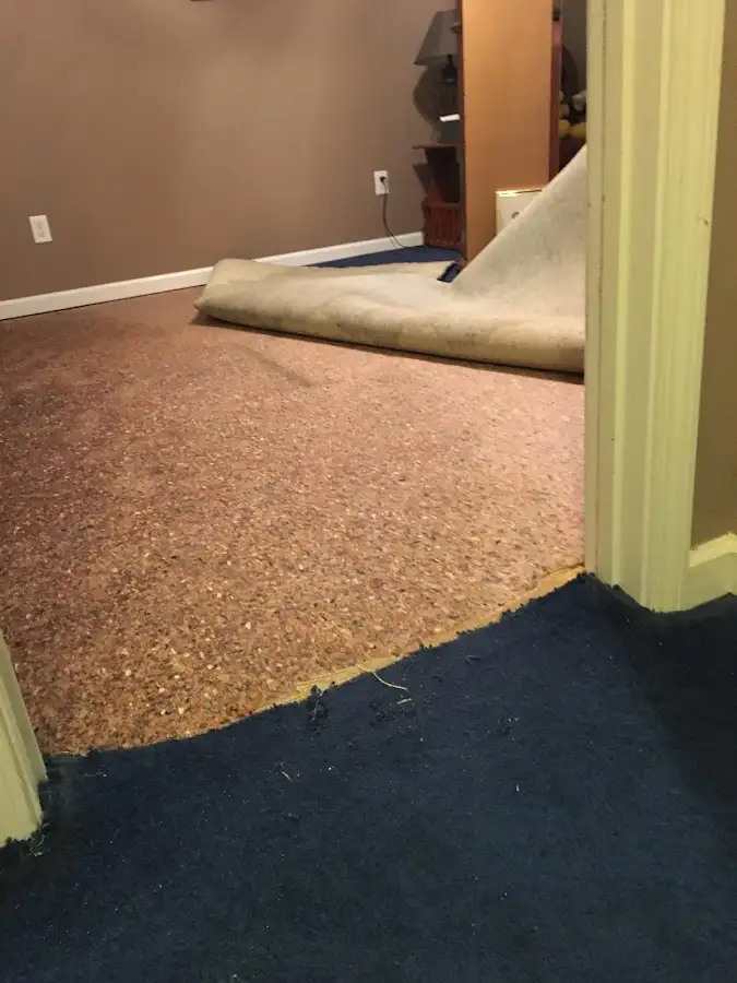 Carpet pad removal revealing water damage during Drying & Dehumidification in Irondequoit