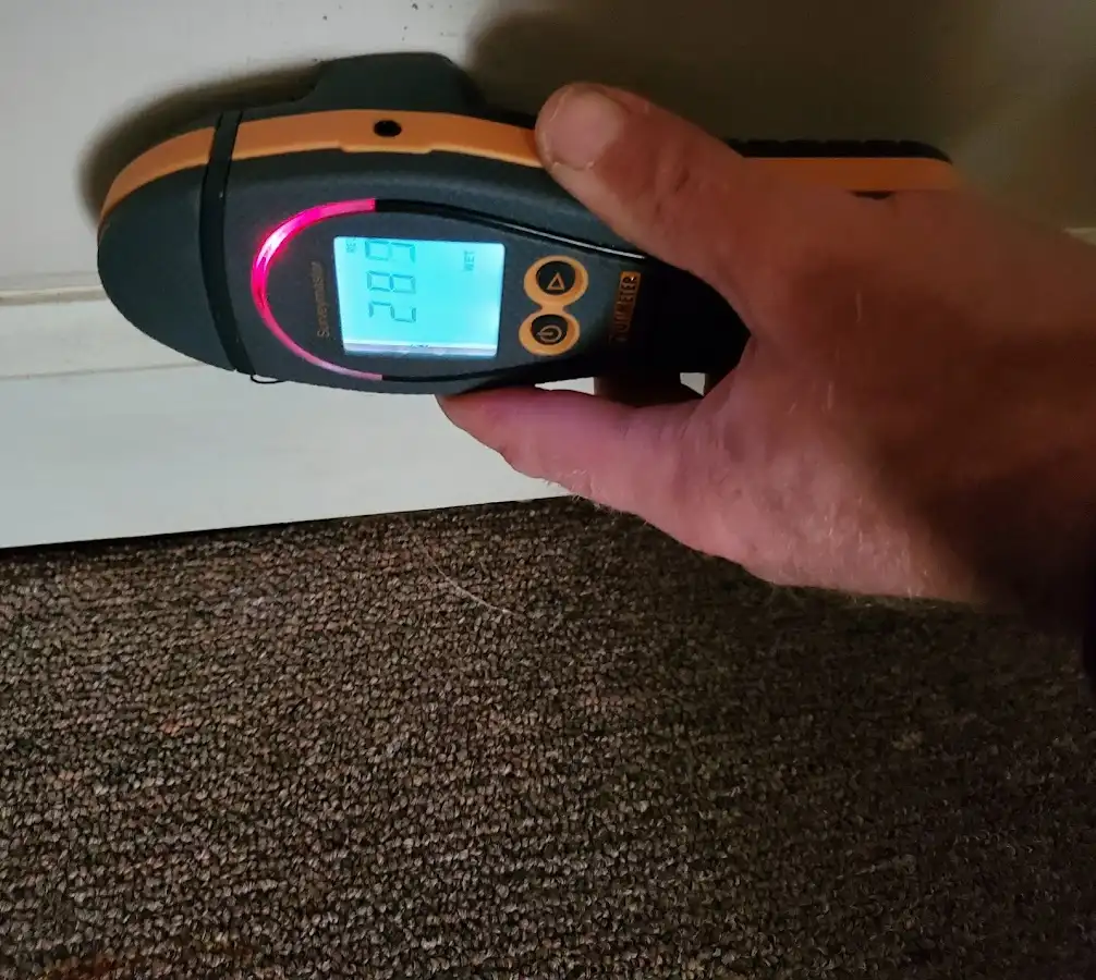 Moisture detection at baseboard during Sewage Cleanup & Sanitation in Irondequoit